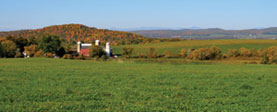 Fox Hill Farm